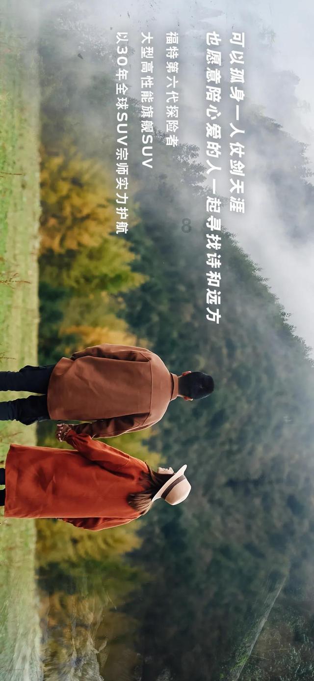 救援狗与猫