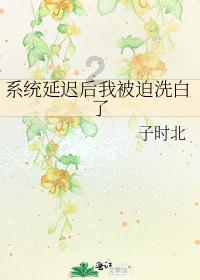 玩具战斗机大战