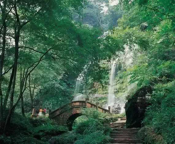 瑞幸、华润强势加持!西藏民族大学怎么样?环境超好,包你满意!